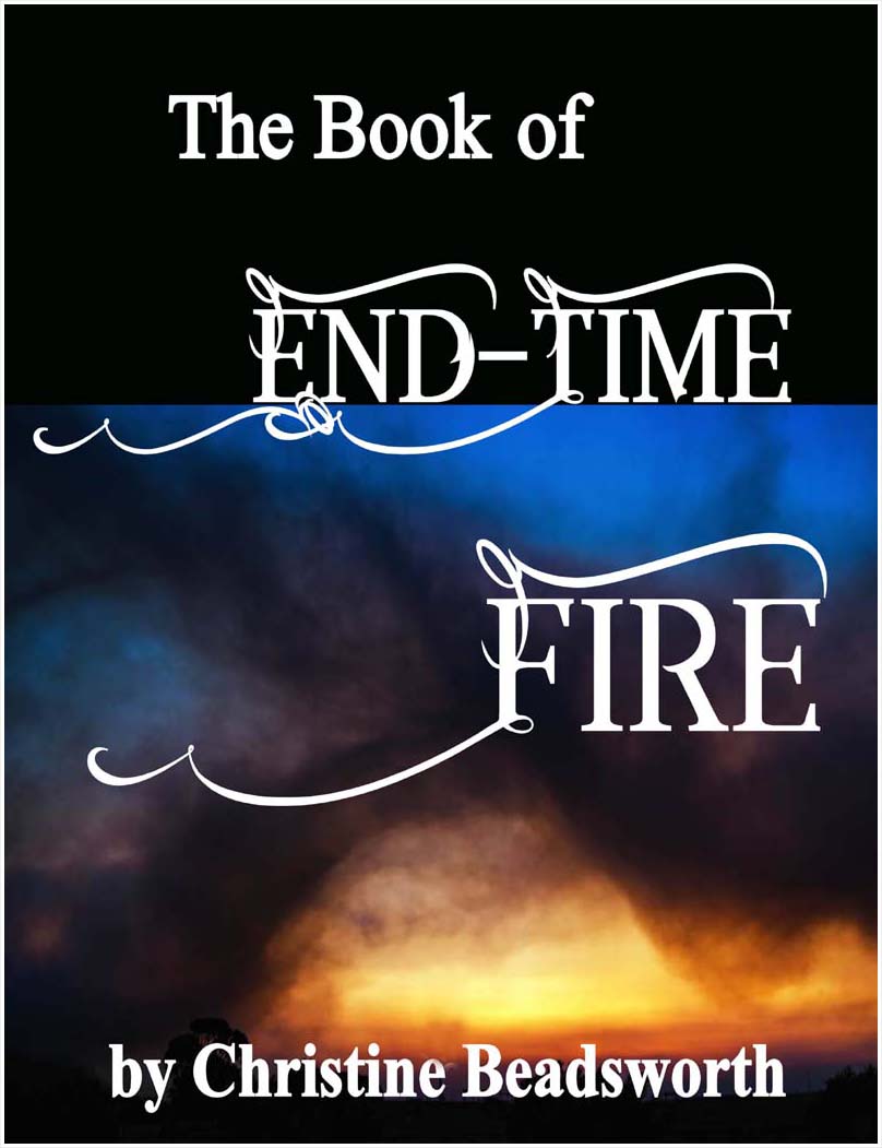 e-Book End Time Fire book cover