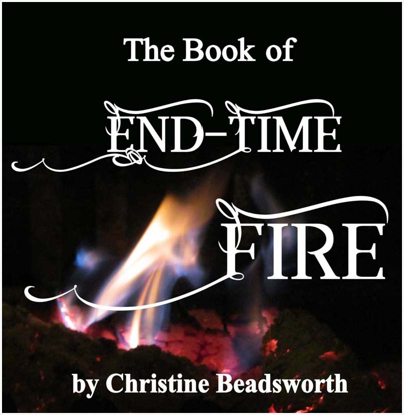 End Time Fire book cover