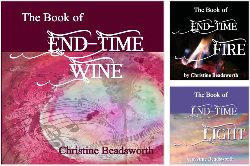 End Time Trilogy Books