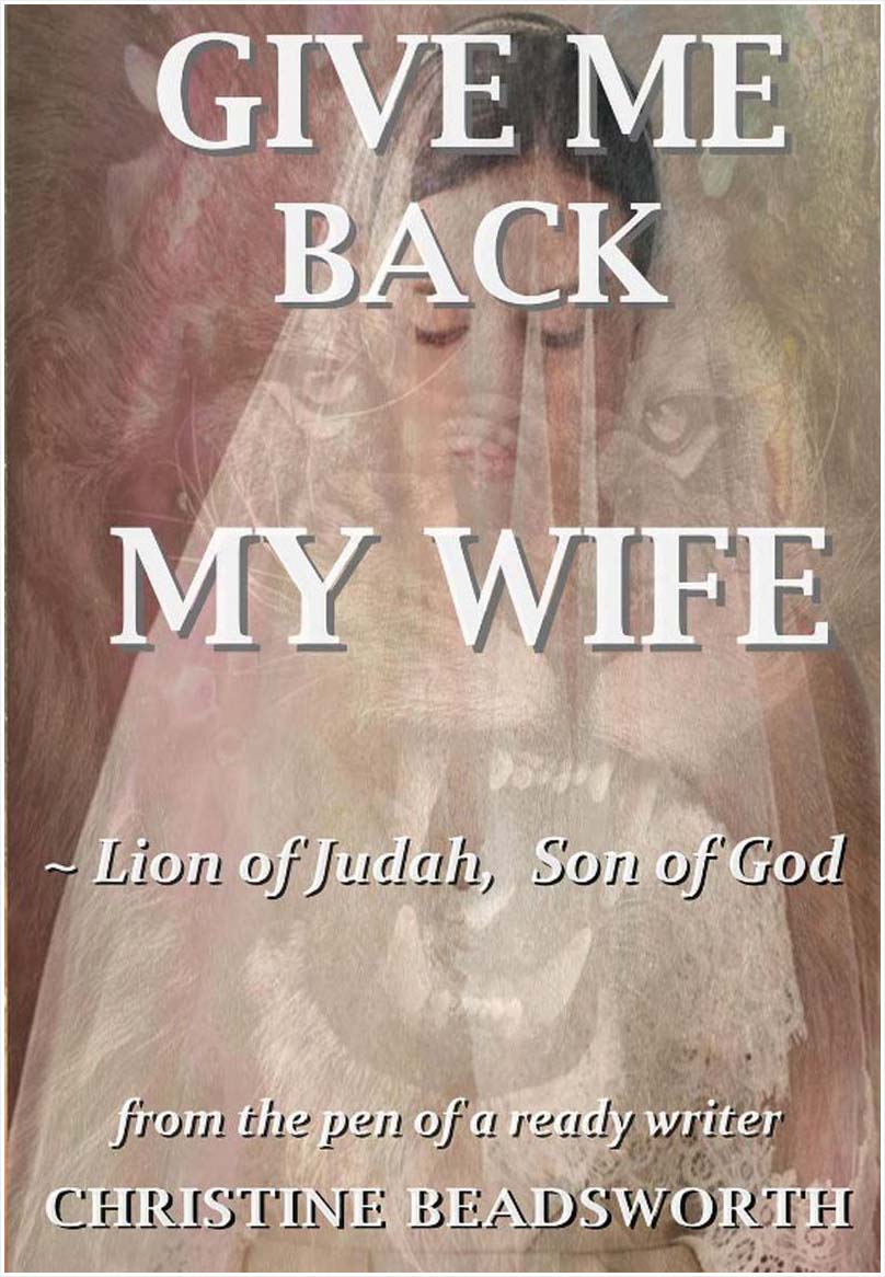 Give Me Back My Wife book cover