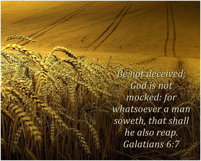 Sewing what you reap quote from the bible - Galatians 6:7