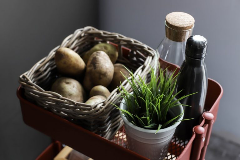 Portable pantry