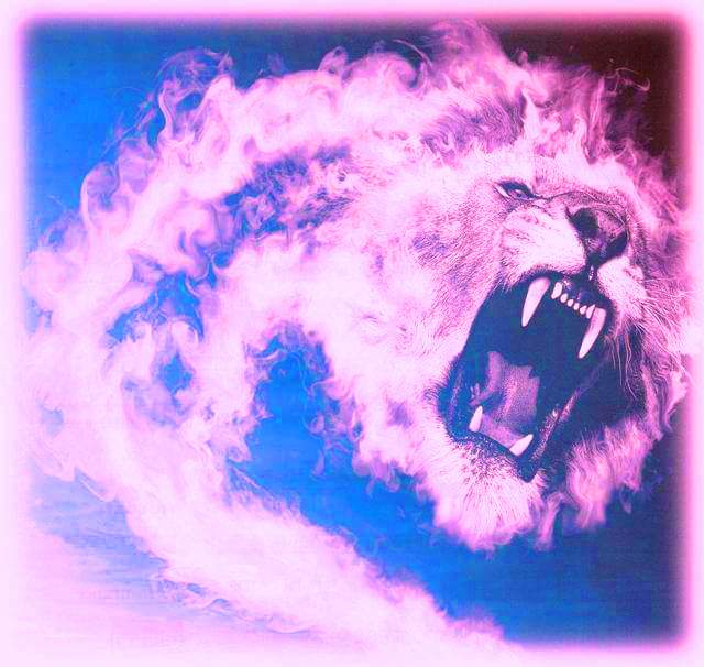 lion of fireviolet