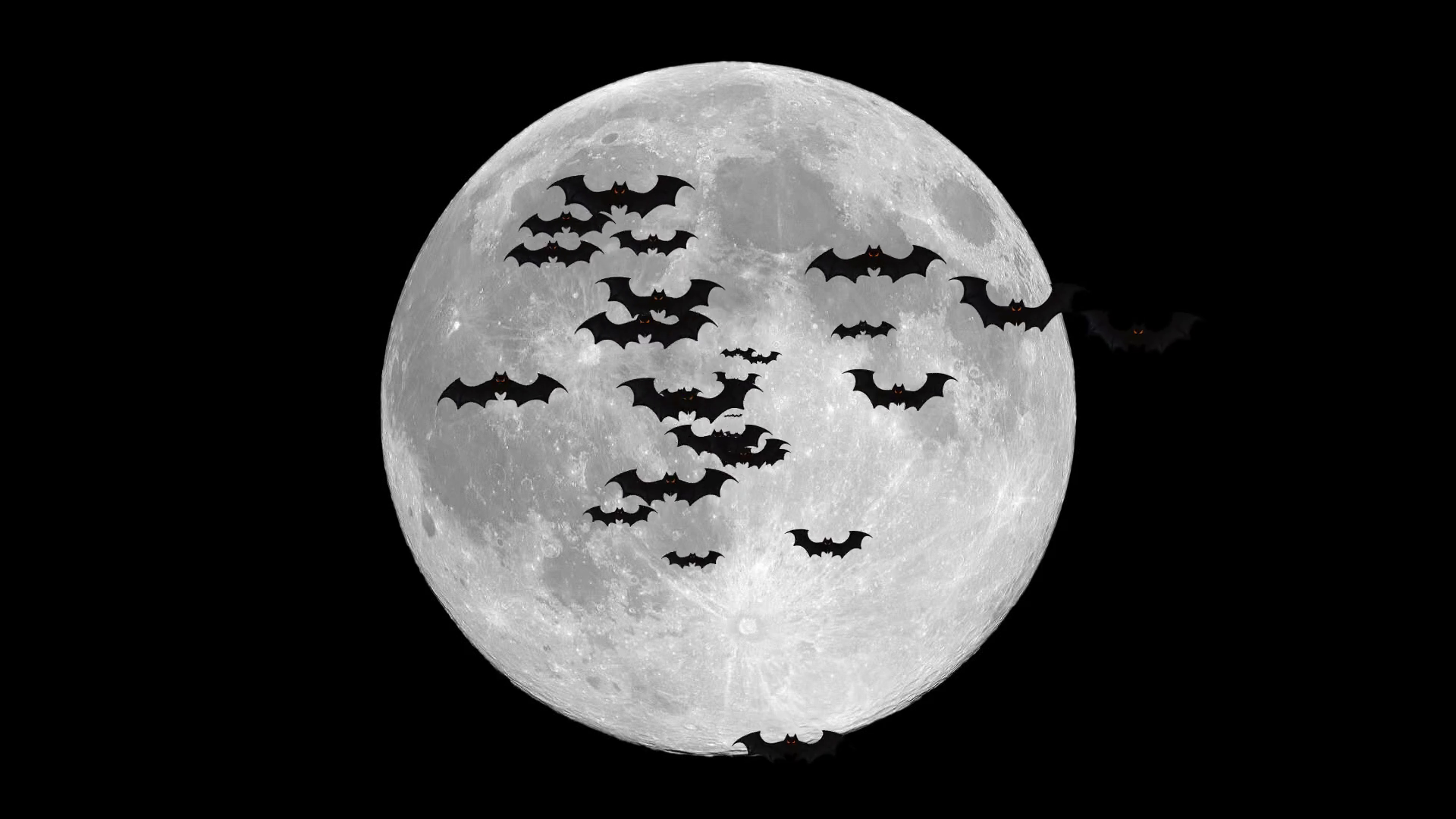 bats-flying-over-full-moon_stgmlttx4g_thumbnail-full02