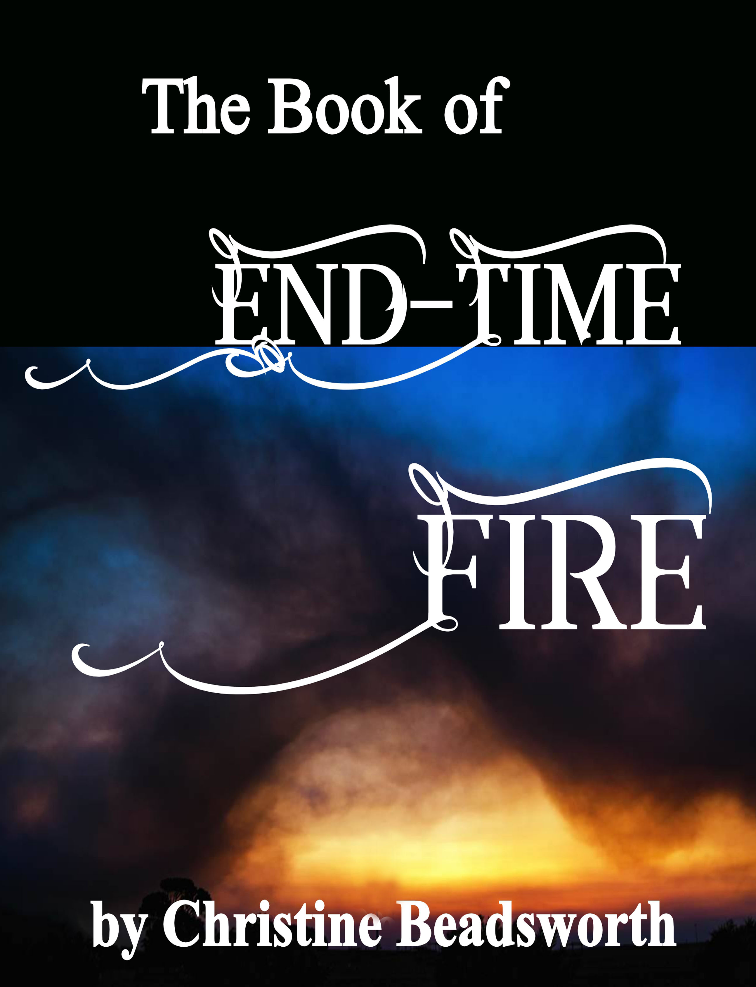 cover new e-book endtime fire -page001