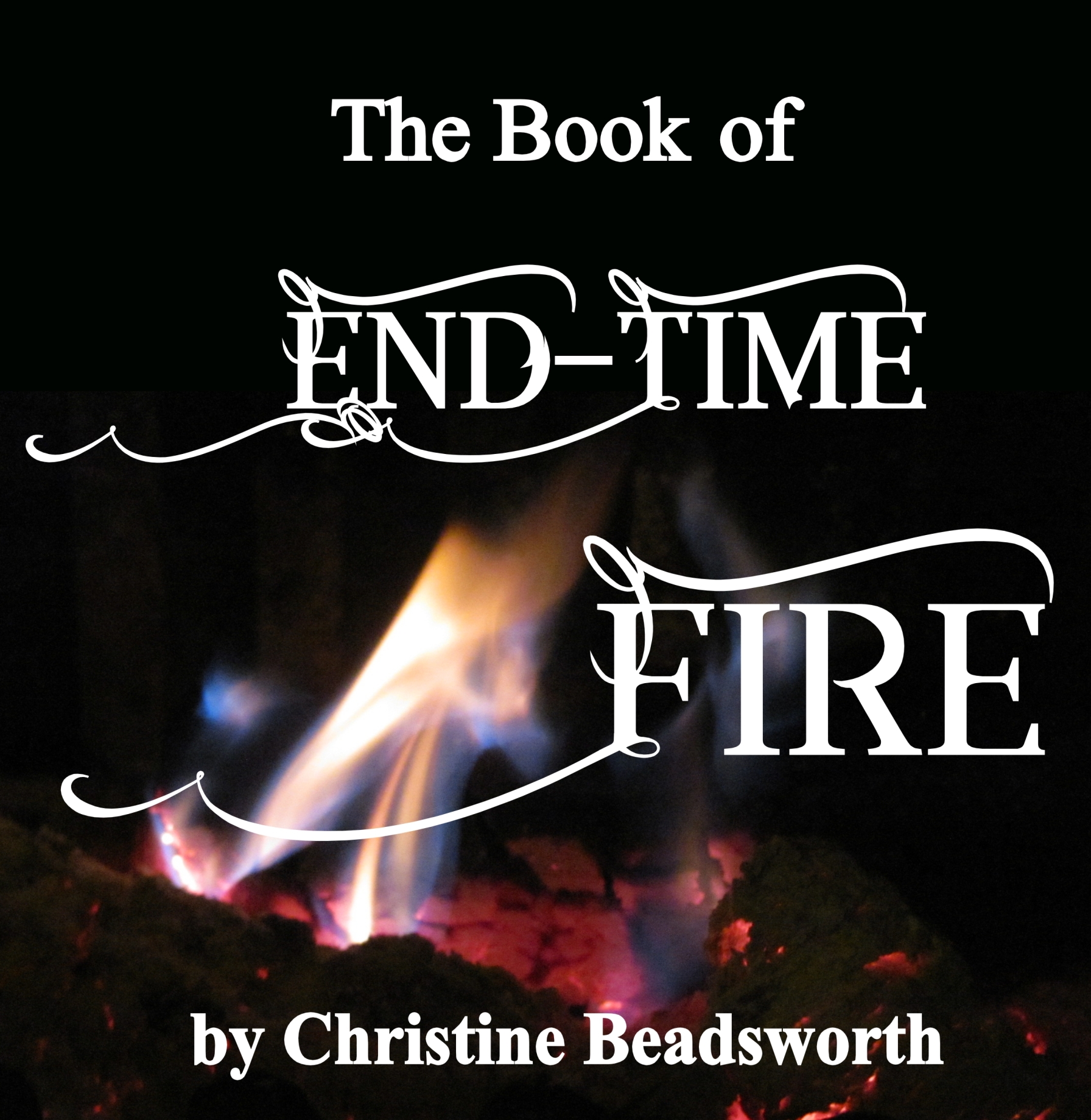 front cover endtime fire small